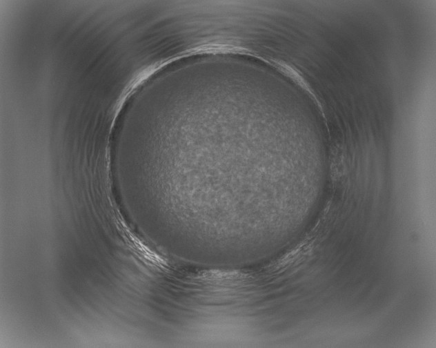 X0000056340831200509091528
