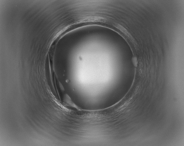 X0000056340834200509091528