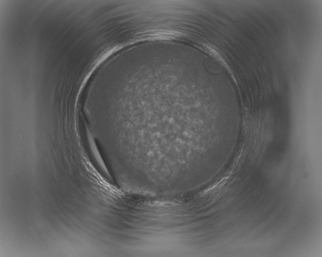 X0000056340835200509091528