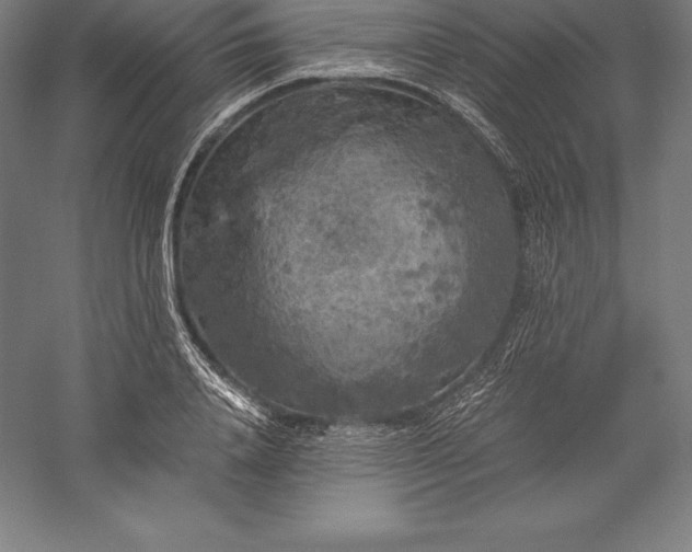 X0000056340840200509091528