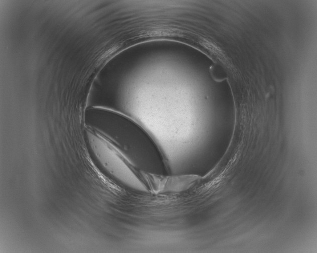X0000056340841200509091528