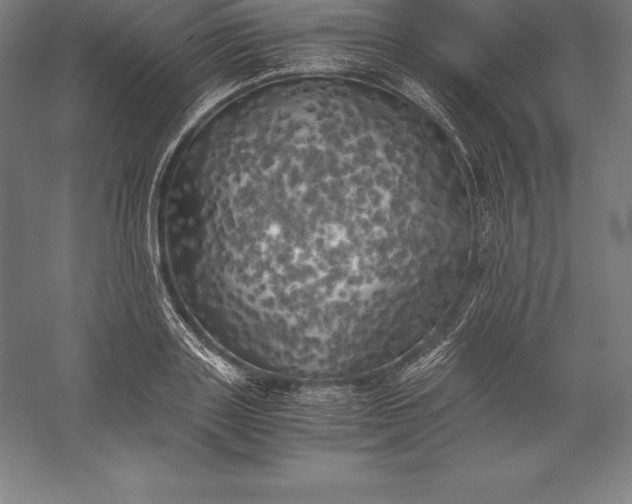 X0000056340843200509091528