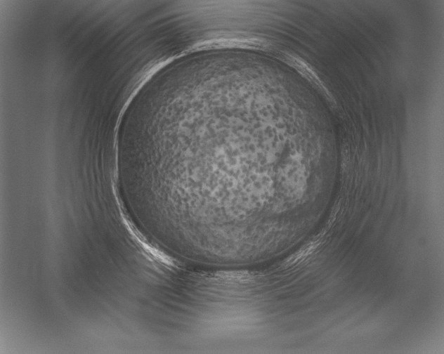 X0000056340844200509091528