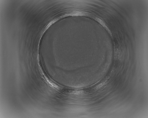 X0000056340845200509091528