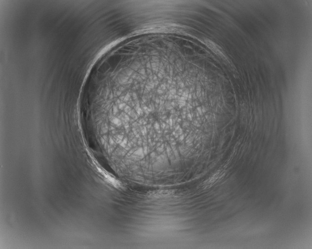 X0000056340846200509091528