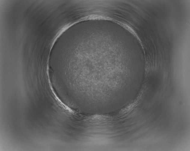 X0000056340847200509091528