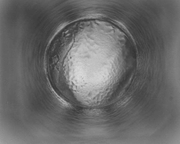 X0000056340851200509091528