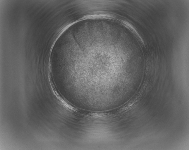 X0000056340852200509091528