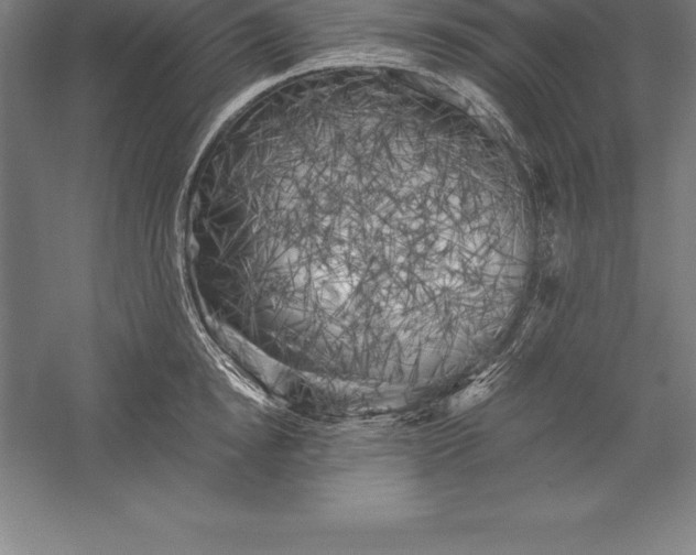 X0000056340854200509091528