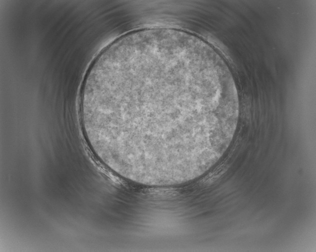X0000056340856200509091528