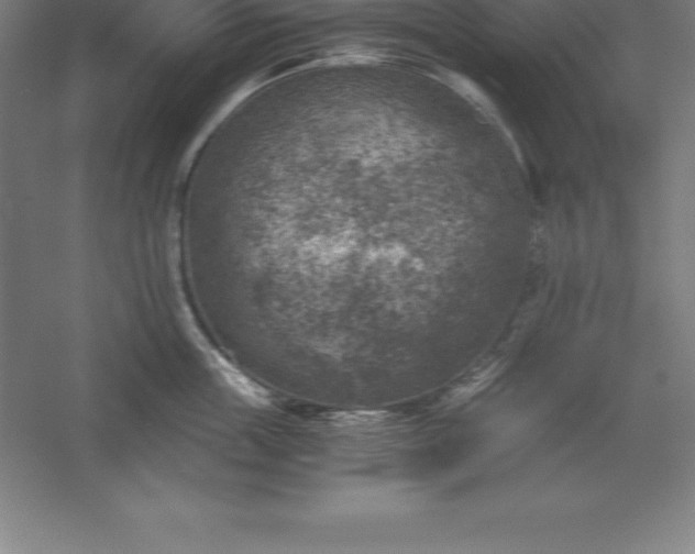 X0000056340859200509091528