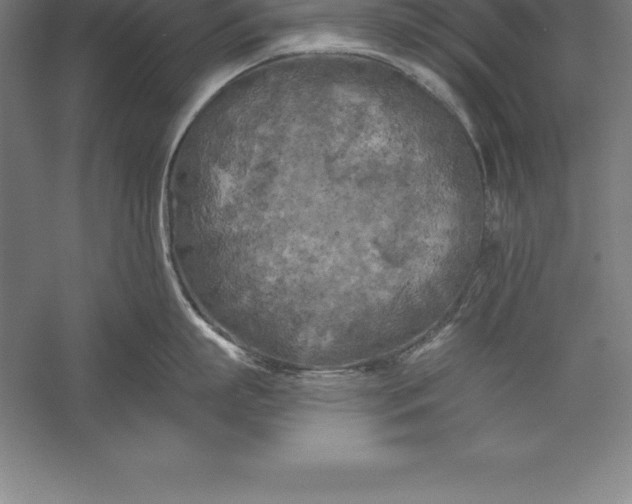 X0000056340863200509091528