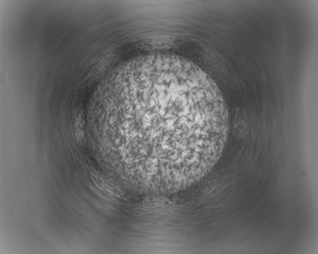 X0000056340866200509091528