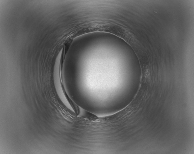 X0000056340868200509091527