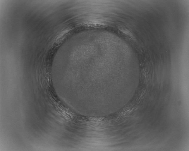 X0000056340870200509091527