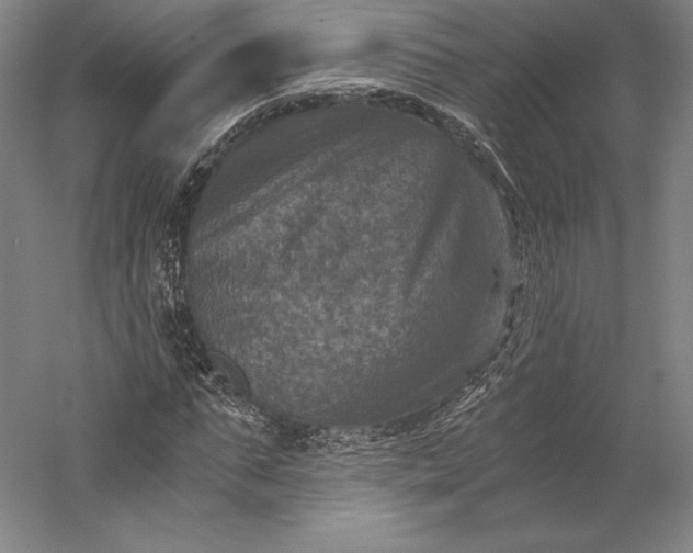 X0000056340871200509091527