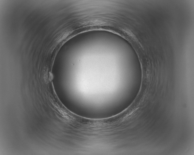 X0000056340873200509091527