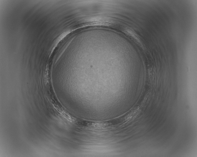 X0000056340875200509091527