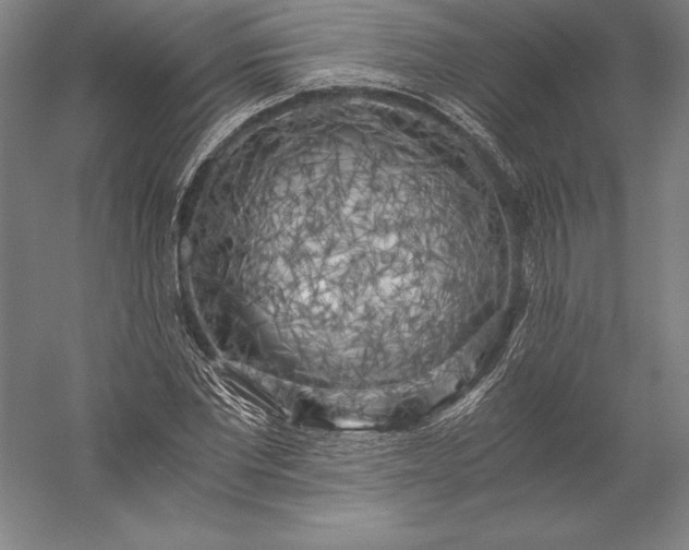 X0000056340877200509091527