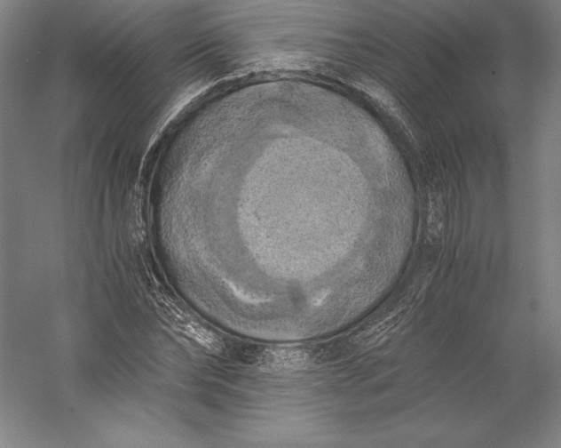 X0000056340878200509091527