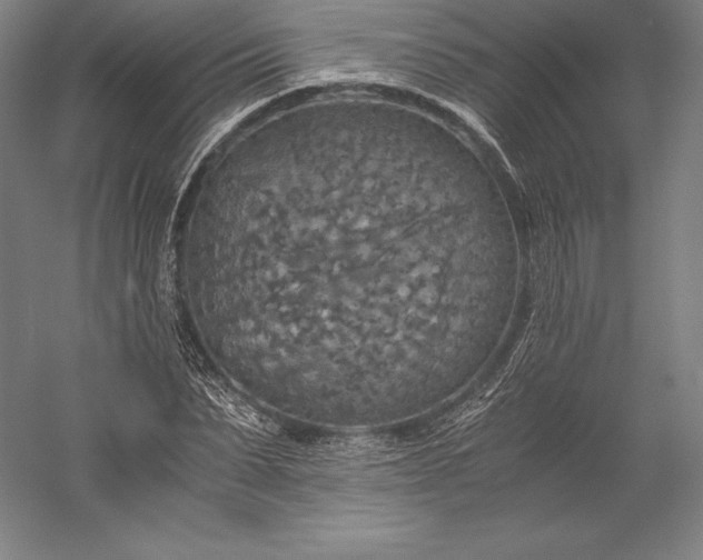X0000056340879200509091527