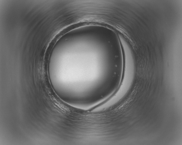 X0000056340880200509091527