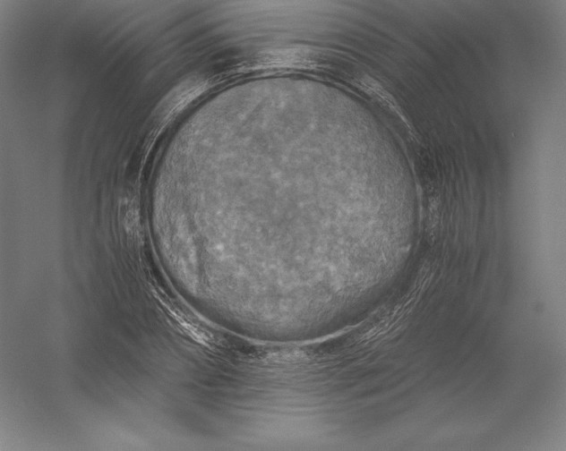 X0000056340882200509091527