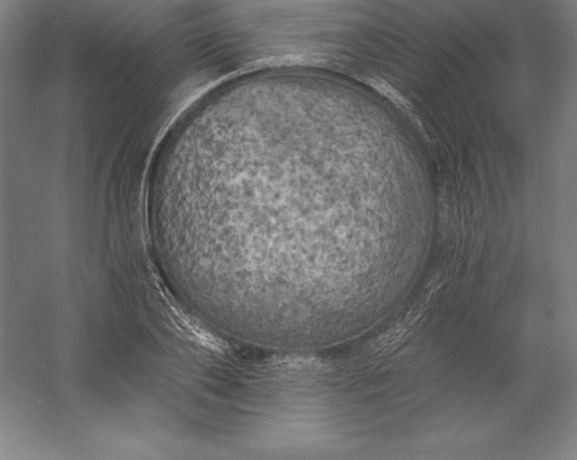 X0000056340886200509091527