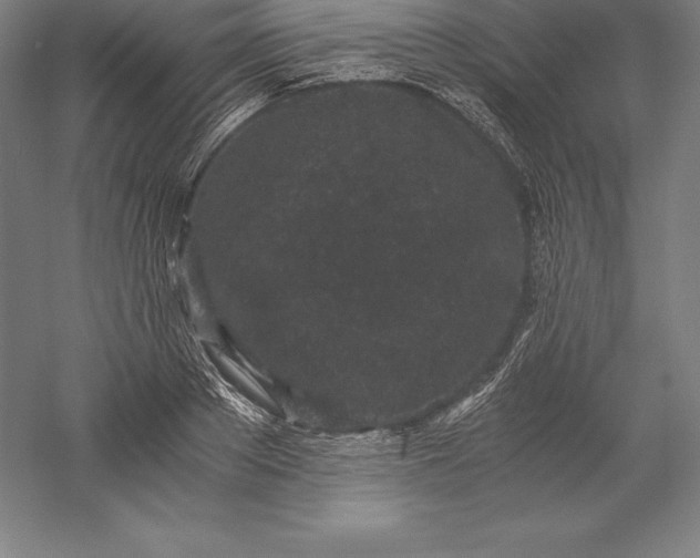 X0000056340889200509091527