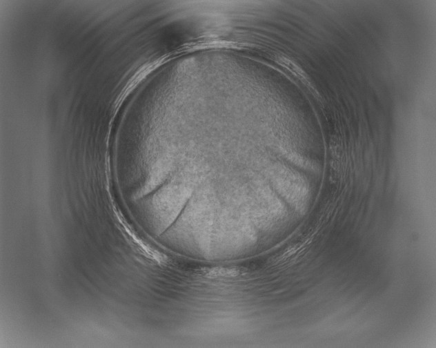 X0000056340890200509091527