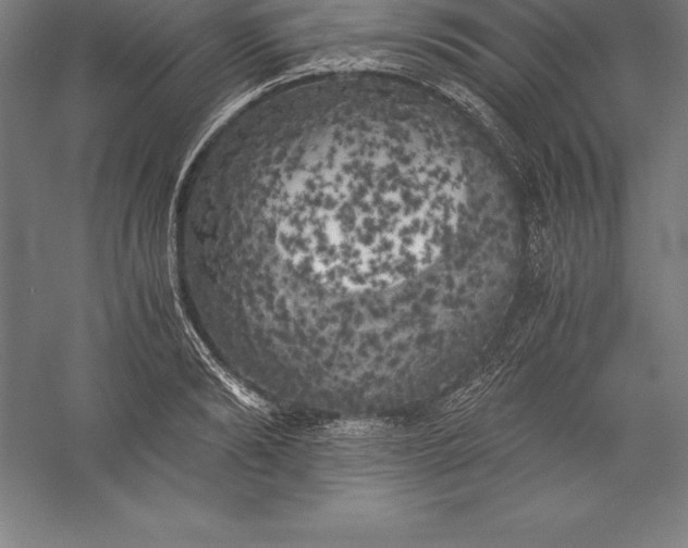 X0000056340894200509091527