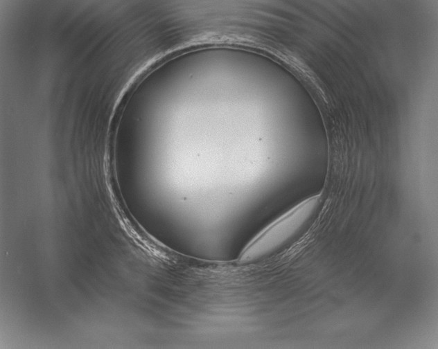 X0000056340896200509091527