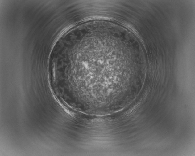 X0000056340898200509091527