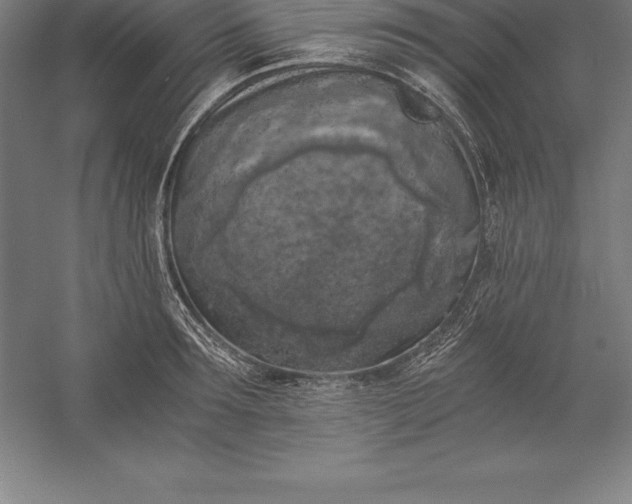 X0000056340899200509091527
