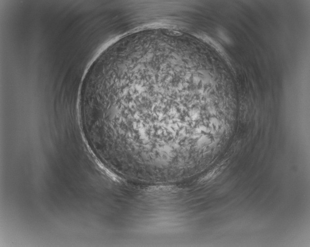 X0000056340902200509091527