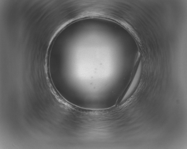 X0000056340904200509091527