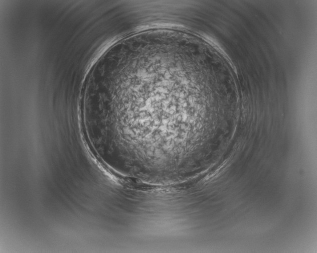 X0000056340906200509091527