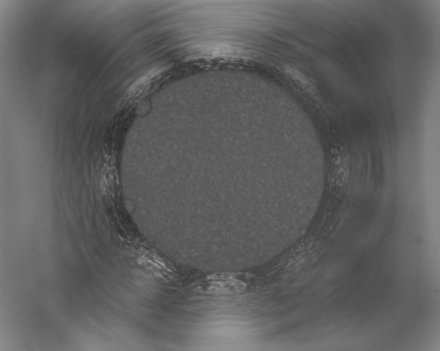 X0000056340918200509091526