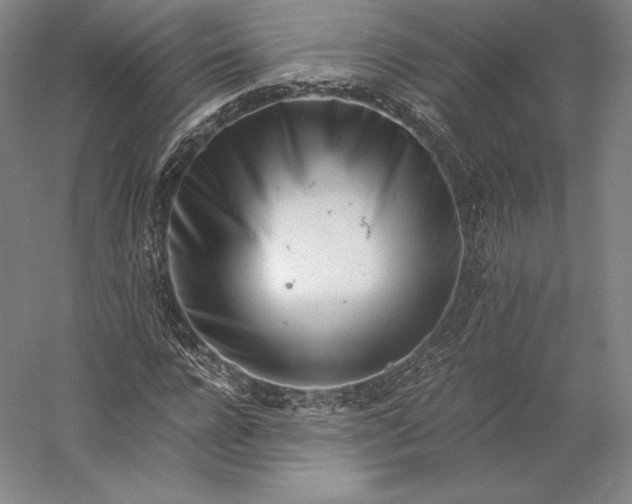 X0000056340920200509091526