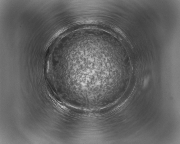 X0000056340922200509091526