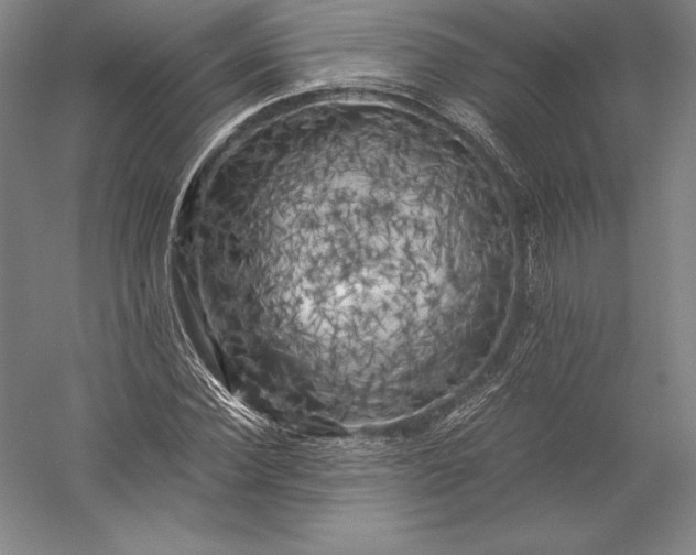 X0000056340924200509091526