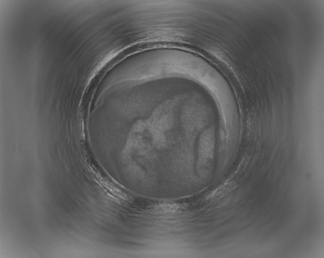 X0000056340925200509091526