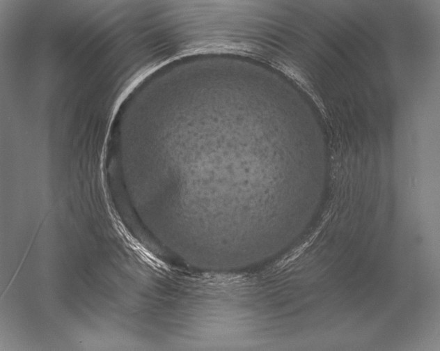 X0000056340928200509091526