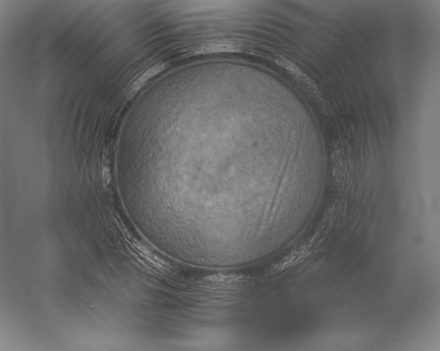 X0000056340929200509091526