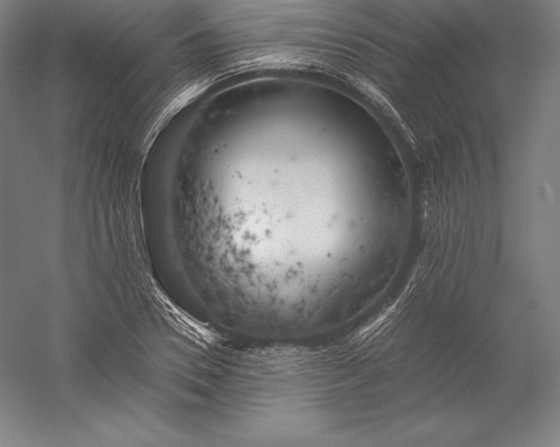 X0000056340930200509091526