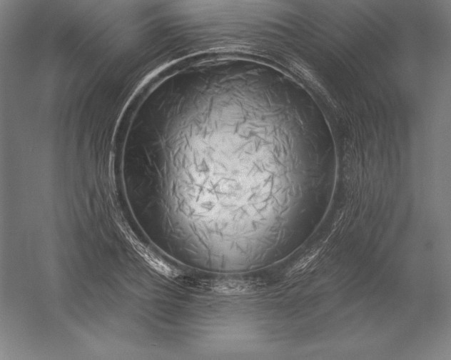 X0000056340932200509091526