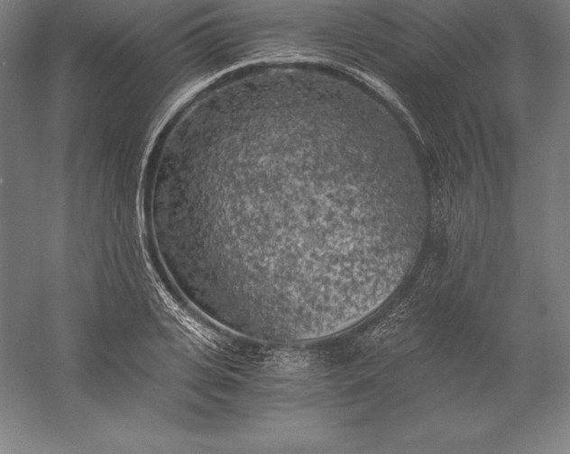 X0000056340935200509091526