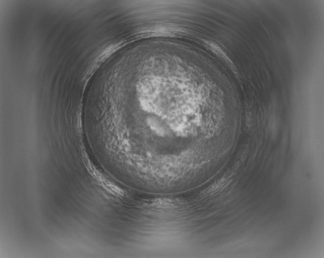 X0000056340938200509091526