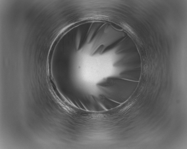 X0000056340940200509091526