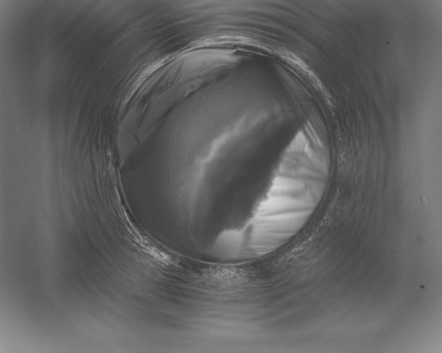 X0000056340945200509091526